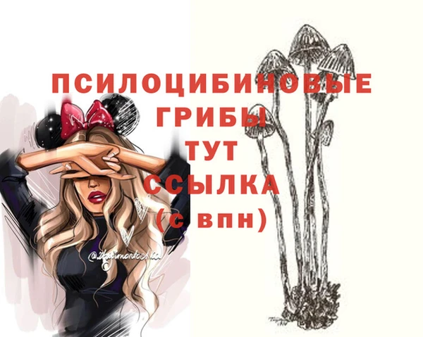 ALPHA PVP Аркадак