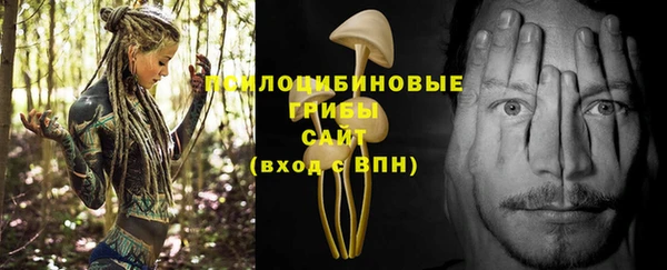 эйфоретик Армянск